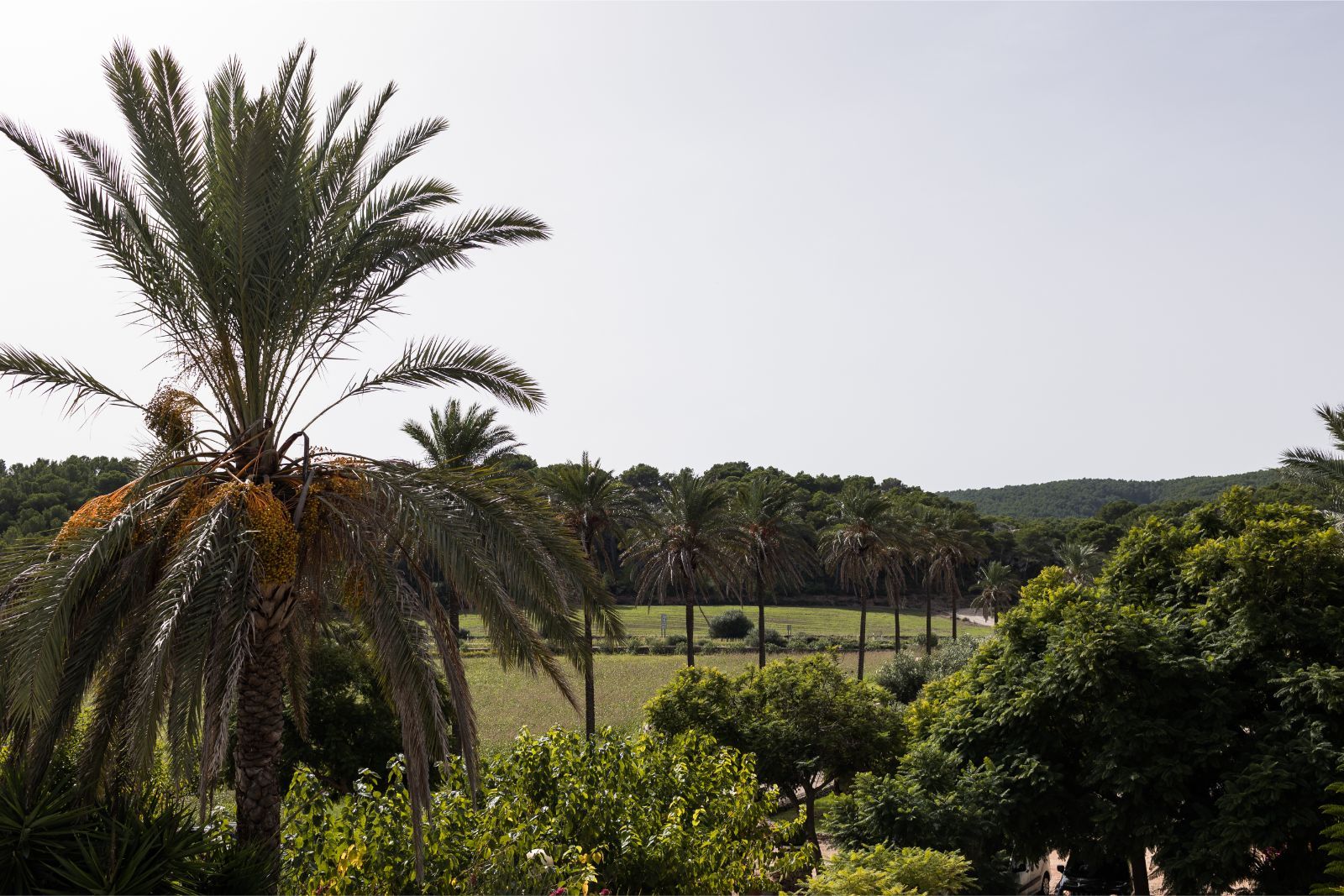 Junior Suite in Llucatx Menorca
