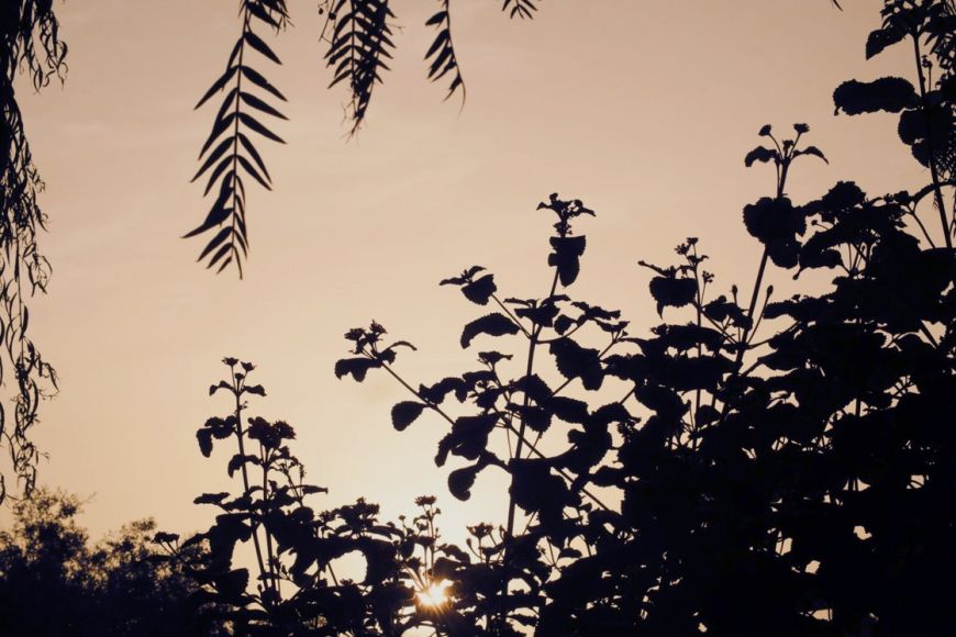 Atardecer en Llucatx
