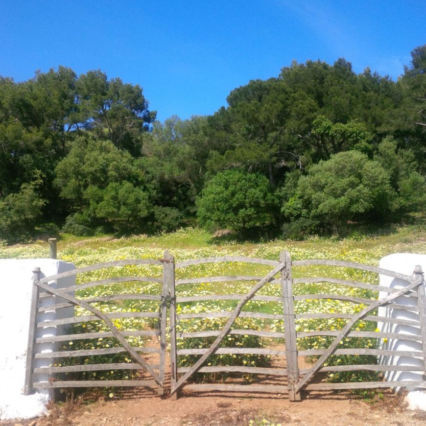 Barrera campo