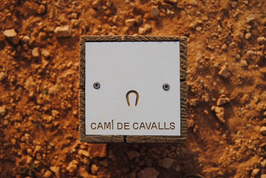 Camí de Cavalls